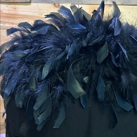 Black feathered bolero with sheer sleeves, vintage, Labelle, sz S GUC - Picture 6 of 9